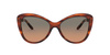 Okulary RALPH LAUREN RL8184-500718. Okulary przeciwsłoneczne, Kolor brązowy. Kobieta.