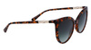 Okulary LONGCHAMP LO720S-230. Okulary przeciwsłoneczne, Kolor brązowy. Kobieta.