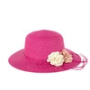 Raspberry
