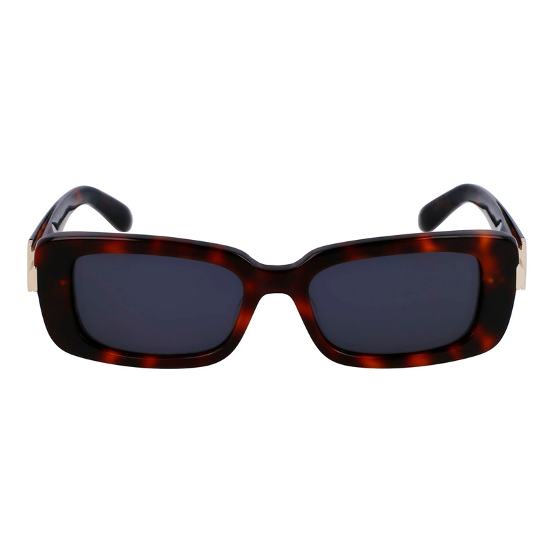 Damskie okulary przeciwsłoneczne Ferragamo SF1105S-240