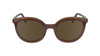 Okulary LONGCHAMP LO739S5020206. Okulary przeciwsłoneczne, Kolor brązowy. Kobieta.