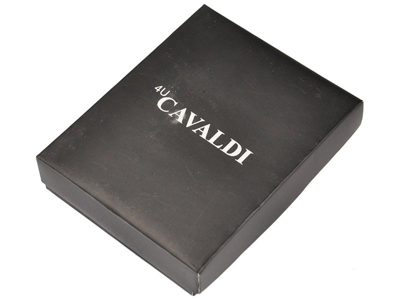 Rozbudowany funkcjonalny duży pionowy Skórzany męski portfel Cavaldi RFID