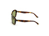 Okulary WEB EYEWEAR WE0289-5652N. Okulary przeciwsłoneczne, Kolor brązowy. Kobieta.