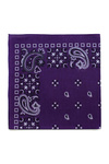 Bandana Metropolitan