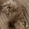 Pelerynka Kapturek