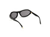 Okulary WEB EYEWEAR WE0288-6001A. Okulary przeciwsłoneczne, Kolor czarny. Kobieta.