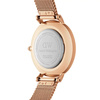 ZEGAREK DAMSKI DANIEL WELLINGTON DW00100303 - PETITE MELROSE 36mm (zw509d)