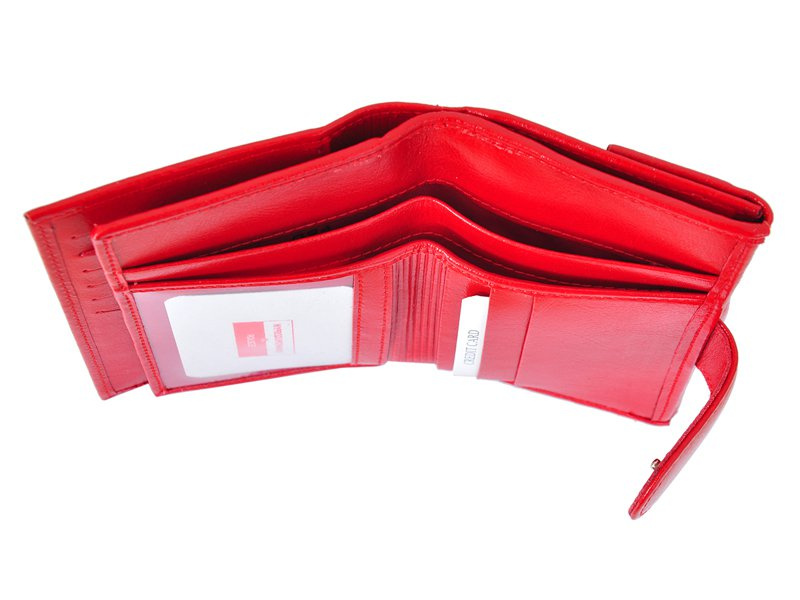 Skórzany damski portfel Z.Ricardo 094