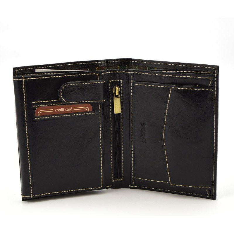 Wild męski rozbudowany portfel skóra naturalna pionowy duży