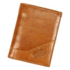 camel-2