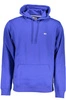 Bluza