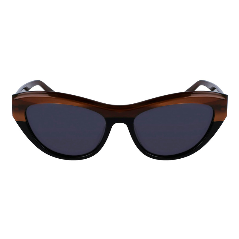 Damskie okulary przeciwsłoneczne Ferragamo SF1103S-217