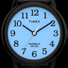 ZEGAREK DAMSKI TIMEX EASY READER TW2W32600 + BOX