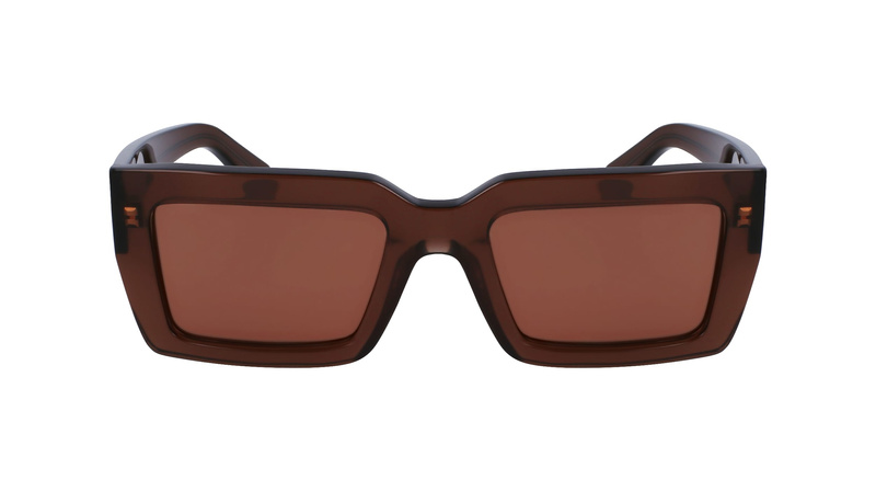 Okulary FERRAGAMO SF1108S542123. Okulary przeciwsłoneczne, Kolor brązowy. Kobieta.