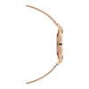 ZEGAREK DAMSKI DANIEL WELLINGTON DW00100303 - PETITE MELROSE 36mm (zw509d)