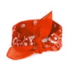 pomarańczowy || Orange