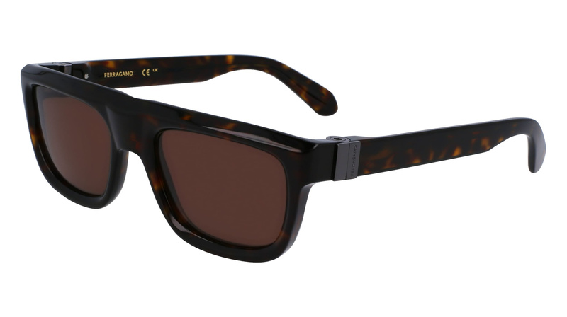 Okulary FERRAGAMO SF2009S-242. Okulary przeciwsłoneczne, Kolor brązowy. Mężczyzna.