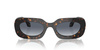 Okulary ARMANI AR8182-612486. Okulary przeciwsłoneczne, Kolor brązowy. Kobieta.