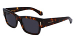 Okulary FERRAGAMO SF2011S-242. Okulary przeciwsłoneczne, Kolor brązowy. Mężczyzna.