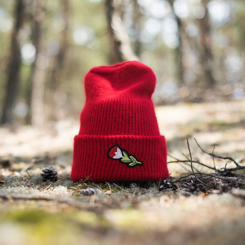 Polska czapka Kici, Kici