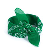 Bandana Classic Rebel