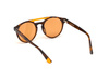 Okulary WEB EYEWEAR WE0262-5156J. Okulary przeciwsłoneczne, Kolor brązowy. Unisex.