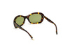 Okulary WEB EYEWEAR WE0289-5652N. Okulary przeciwsłoneczne, Kolor brązowy. Kobieta.
