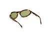 Okulary WEB EYEWEAR WE0288-6052N. Okulary przeciwsłoneczne, Kolor brązowy. Kobieta.
