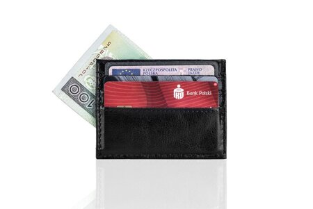 Skórzany portfel wizytownik męski SOLIER SA13